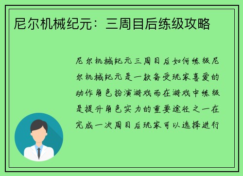 尼尔机械纪元：三周目后练级攻略